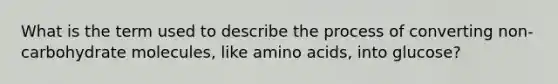 What is the term used to describe the process of converting non-carbohydrate molecules, like amino acids, into glucose?