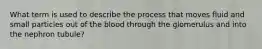 What term is used to describe the process that moves fluid and small particles out of the blood through the glomerulus and into the nephron tubule?