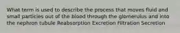 What term is used to describe the process that moves fluid and small particles out of the blood through the glomerulus and into the nephron tubule Reabsorption Excretion Filtration Secretion