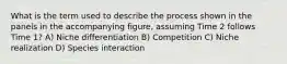 What is the term used to describe the process shown in the panels in the accompanying figure, assuming Time 2 follows Time 1? A) Niche differentiation B) Competition C) Niche realization D) Species interaction