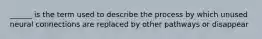 ______ is the term used to describe the process by which unused neural connections are replaced by other pathways or disappear