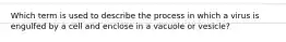 Which term is used to describe the process in which a virus is engulfed by a cell and enclose in a vacuole or vesicle?