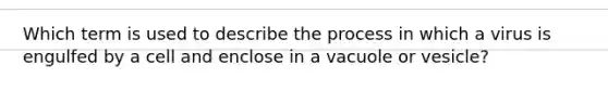 Which term is used to describe the process in which a virus is engulfed by a cell and enclose in a vacuole or vesicle?