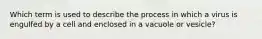 Which term is used to describe the process in which a virus is engulfed by a cell and enclosed in a vacuole or vesicle?