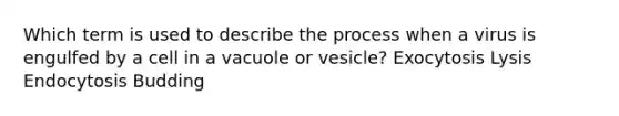 Which term is used to describe the process when a virus is engulfed by a cell in a vacuole or vesicle? Exocytosis Lysis Endocytosis Budding