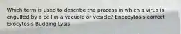 Which term is used to describe the process in which a virus is engulfed by a cell in a vacuole or vesicle? Endocytosis correct Exocytosis Budding Lysis