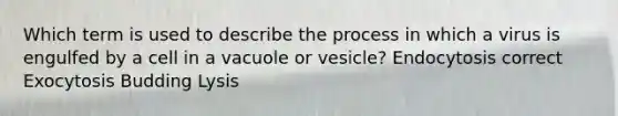 Which term is used to describe the process in which a virus is engulfed by a cell in a vacuole or vesicle? Endocytosis correct Exocytosis Budding Lysis