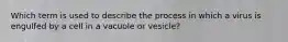 Which term is used to describe the process in which a virus is engulfed by a cell in a vacuole or vesicle?