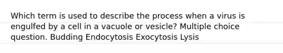 Which term is used to describe the process when a virus is engulfed by a cell in a vacuole or vesicle? Multiple choice question. Budding Endocytosis Exocytosis Lysis