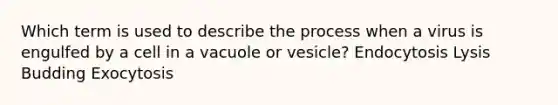 Which term is used to describe the process when a virus is engulfed by a cell in a vacuole or vesicle? Endocytosis Lysis Budding Exocytosis