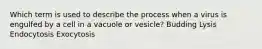 Which term is used to describe the process when a virus is engulfed by a cell in a vacuole or vesicle? Budding Lysis Endocytosis Exocytosis