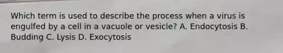 Which term is used to describe the process when a virus is engulfed by a cell in a vacuole or vesicle? A. Endocytosis B. Budding C. Lysis D. Exocytosis