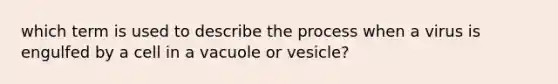 which term is used to describe the process when a virus is engulfed by a cell in a vacuole or vesicle?