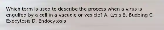 Which term is used to describe the process when a virus is engulfed by a cell in a vacuole or vesicle? A. Lysis B. Budding C. Exocytosis D. Endocytosis