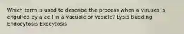 Which term is used to describe the process when a viruses is engulfed by a cell in a vacuole or vesicle? Lysis Budding Endocytosis Exocytosis