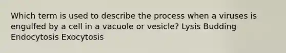 Which term is used to describe the process when a viruses is engulfed by a cell in a vacuole or vesicle? Lysis Budding Endocytosis Exocytosis