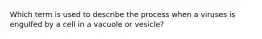Which term is used to describe the process when a viruses is engulfed by a cell in a vacuole or vesicle?