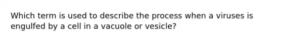 Which term is used to describe the process when a viruses is engulfed by a cell in a vacuole or vesicle?