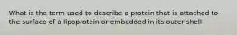 What is the term used to describe a protein that is attached to the surface of a lipoprotein or embedded in its outer shell