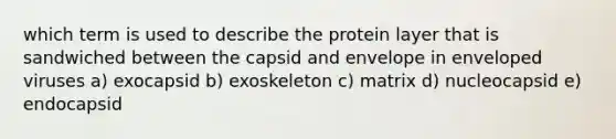 which term is used to describe the protein layer that is sandwiched between the capsid and envelope in enveloped viruses a) exocapsid b) exoskeleton c) matrix d) nucleocapsid e) endocapsid