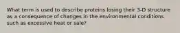 What term is used to describe proteins losing their 3-D structure as a consequence of changes in the environmental conditions such as excessive heat or sale?