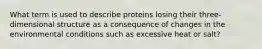 What term is used to describe proteins losing their three-dimensional structure as a consequence of changes in the environmental conditions such as excessive heat or salt?