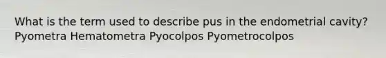 What is the term used to describe pus in the endometrial cavity? Pyometra Hematometra Pyocolpos Pyometrocolpos