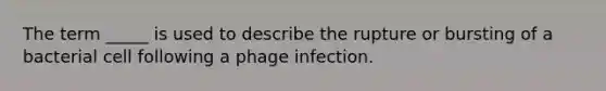 The term _____ is used to describe the rupture or bursting of a bacterial cell following a phage infection.