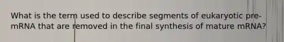 What is the term used to describe segments of eukaryotic pre-mRNA that are removed in the final synthesis of mature mRNA?