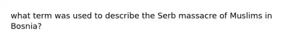 what term was used to describe the Serb massacre of Muslims in Bosnia?