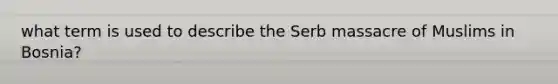 what term is used to describe the Serb massacre of Muslims in Bosnia?