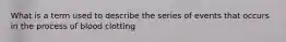 What is a term used to describe the series of events that occurs in the process of blood clotting