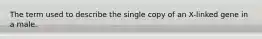 The term used to describe the single copy of an X-linked gene in a male.