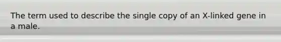 The term used to describe the single copy of an X-linked gene in a male.