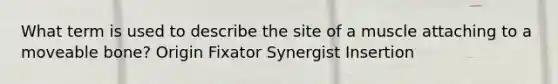 What term is used to describe the site of a muscle attaching to a moveable bone? Origin Fixator Synergist Insertion