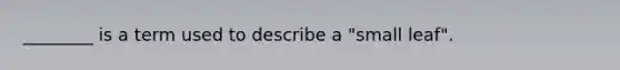 ________ is a term used to describe a "small leaf".