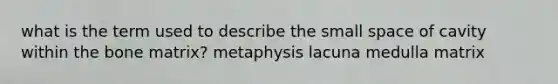 what is the term used to describe the small space of cavity within the bone matrix? metaphysis lacuna medulla matrix