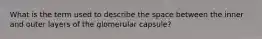 What is the term used to describe the space between the inner and outer layers of the glomerular capsule?