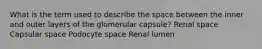 What is the term used to describe the space between the inner and outer layers of the glomerular capsule? Renal space Capsular space Podocyte space Renal lumen