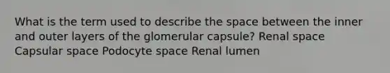 What is the term used to describe <a href='https://www.questionai.com/knowledge/k0Lyloclid-the-space' class='anchor-knowledge'>the space</a> between the inner and outer layers of the glomerular capsule? Renal space Capsular space Podocyte space Renal lumen