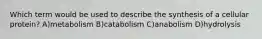 Which term would be used to describe the synthesis of a cellular protein? A)metabolism B)catabolism C)anabolism D)hydrolysis