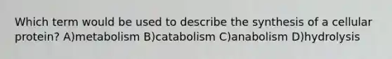 Which term would be used to describe the synthesis of a cellular protein? A)metabolism B)catabolism C)anabolism D)hydrolysis