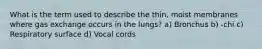 What is the term used to describe the thin, moist membranes where gas exchange occurs in the lungs? a) Bronchus b) -chi c) Respiratory surface d) Vocal cords