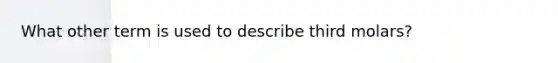 What other term is used to describe third molars?