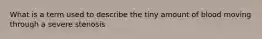 What is a term used to describe the tiny amount of blood moving through a severe stenosis