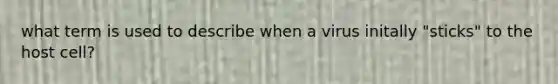 what term is used to describe when a virus initally "sticks" to the host cell?