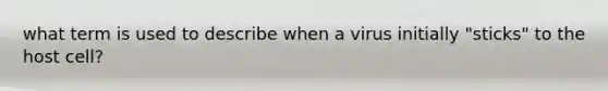 what term is used to describe when a virus initially "sticks" to the host cell?