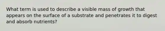 What term is used to describe a visible mass of growth that appears on the surface of a substrate and penetrates it to digest and absorb nutrients?