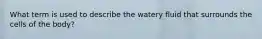 What term is used to describe the watery fluid that surrounds the cells of the body?