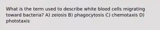 What is the term used to describe white blood cells migrating toward bacteria? A) zeiosis B) phagocytosis C) chemotaxis D) phototaxis